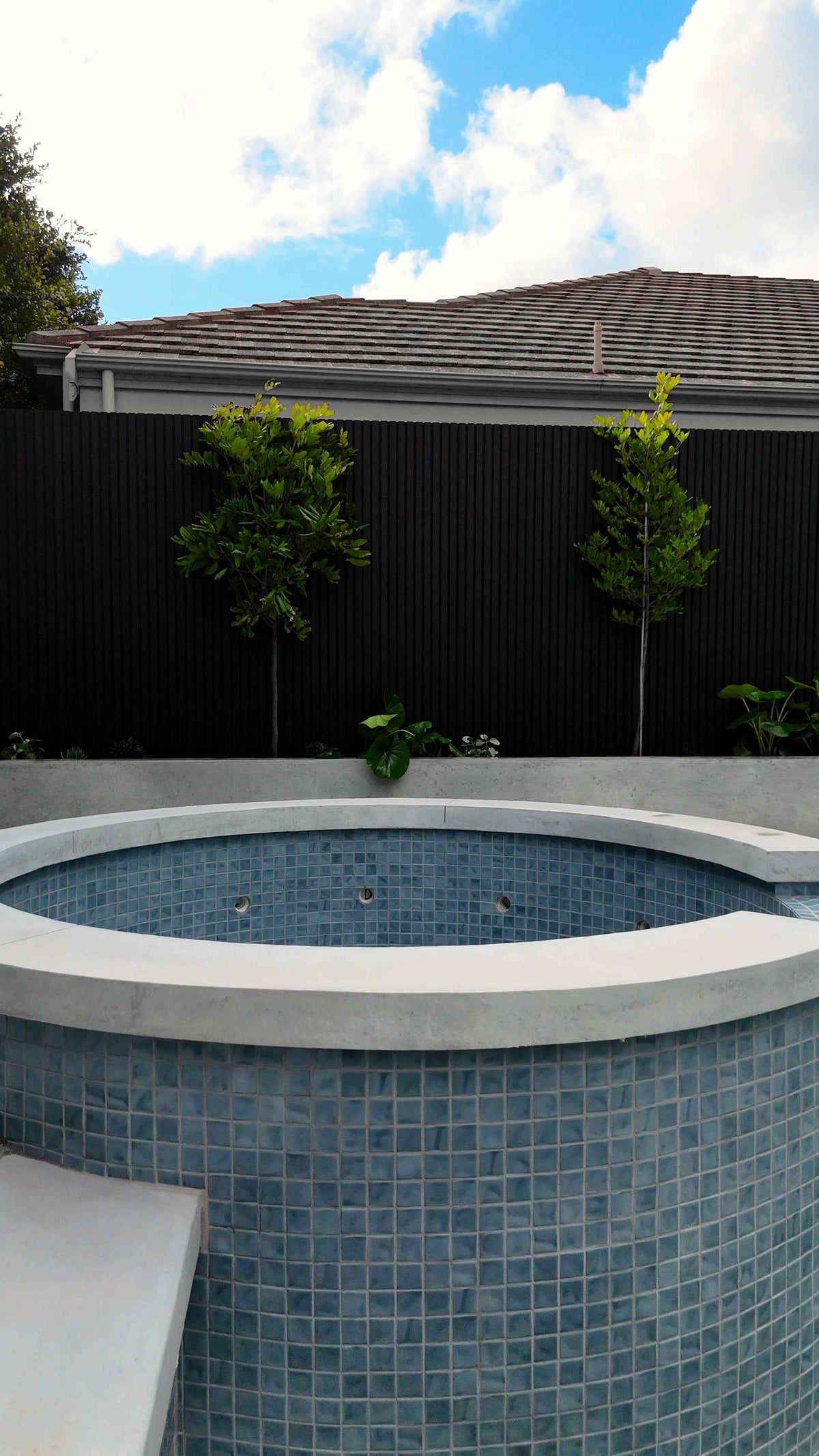Pool Coping & Pool Surrounds